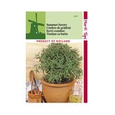 Hectarul - Seminte de cimbru aromat, 2 grame